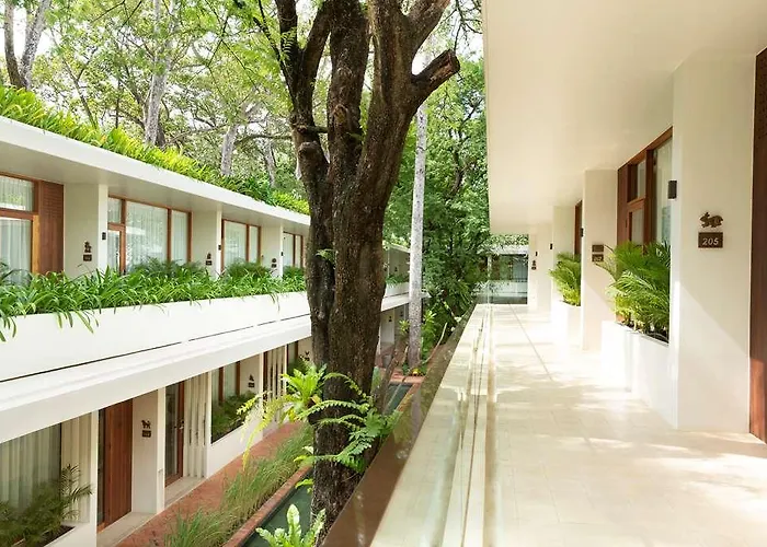 Hotel Fcc Angkor